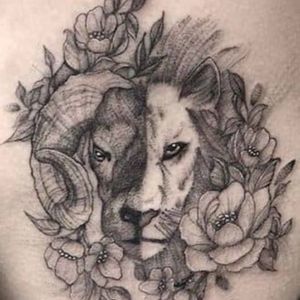 Meet your Posher, Katina